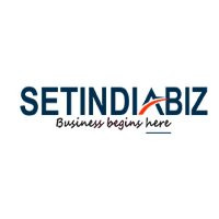 setindiabiz online