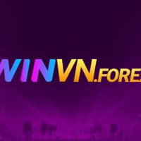 WINVN – Nền Tảng Cá Cược & Đầu Tư Trực Tuyến Đa Dạng