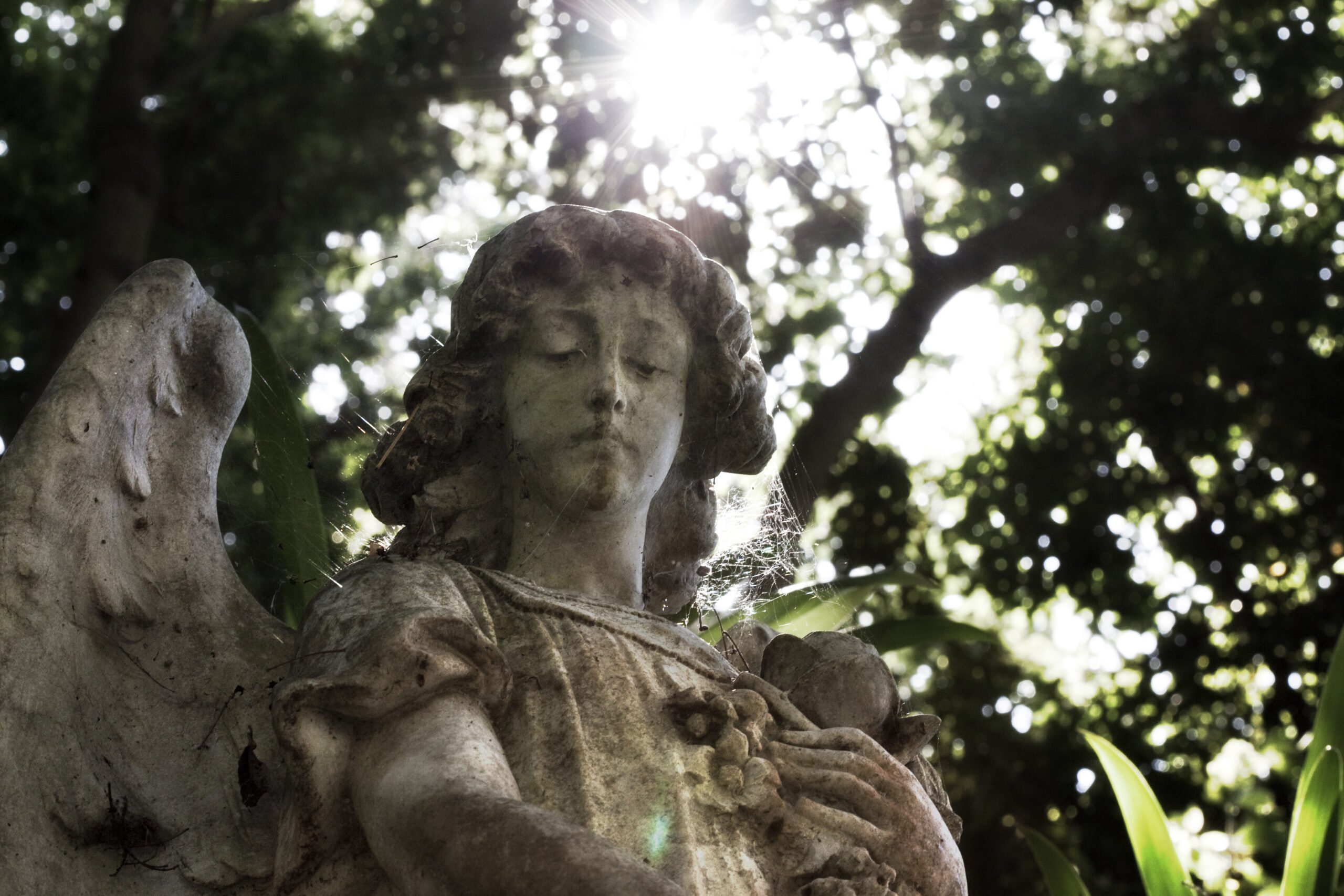 Angel investors in the UK are more active than ever, and more women are getting involved: report