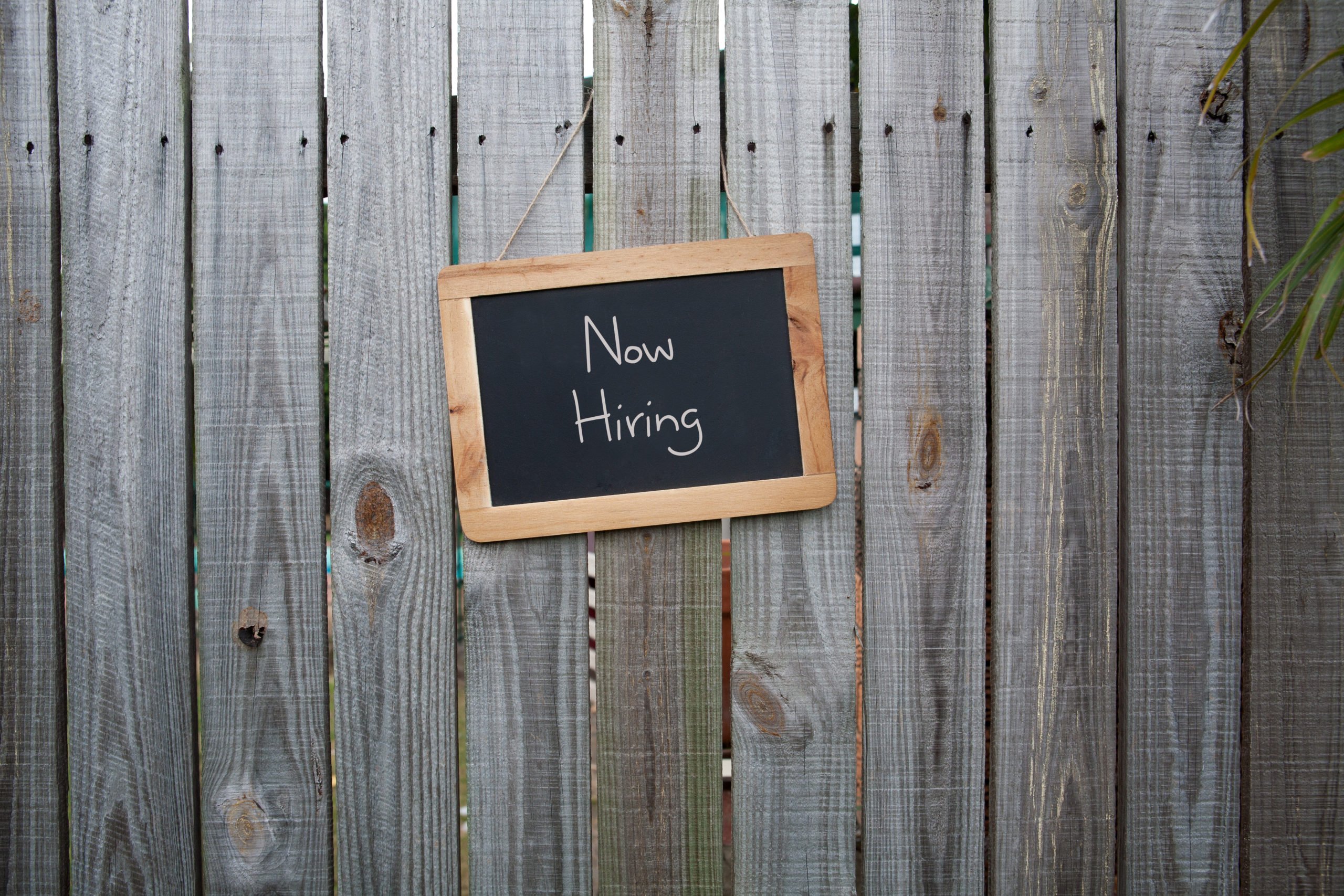 Let there be jobs: 47% of entrepreneurs expect to increase their global workforce this year