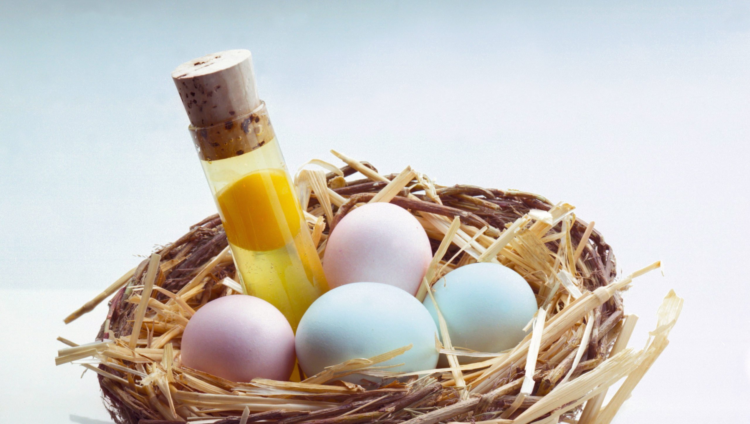 What is a 'pre-accelerator' anyway? A primer to get you up to speed