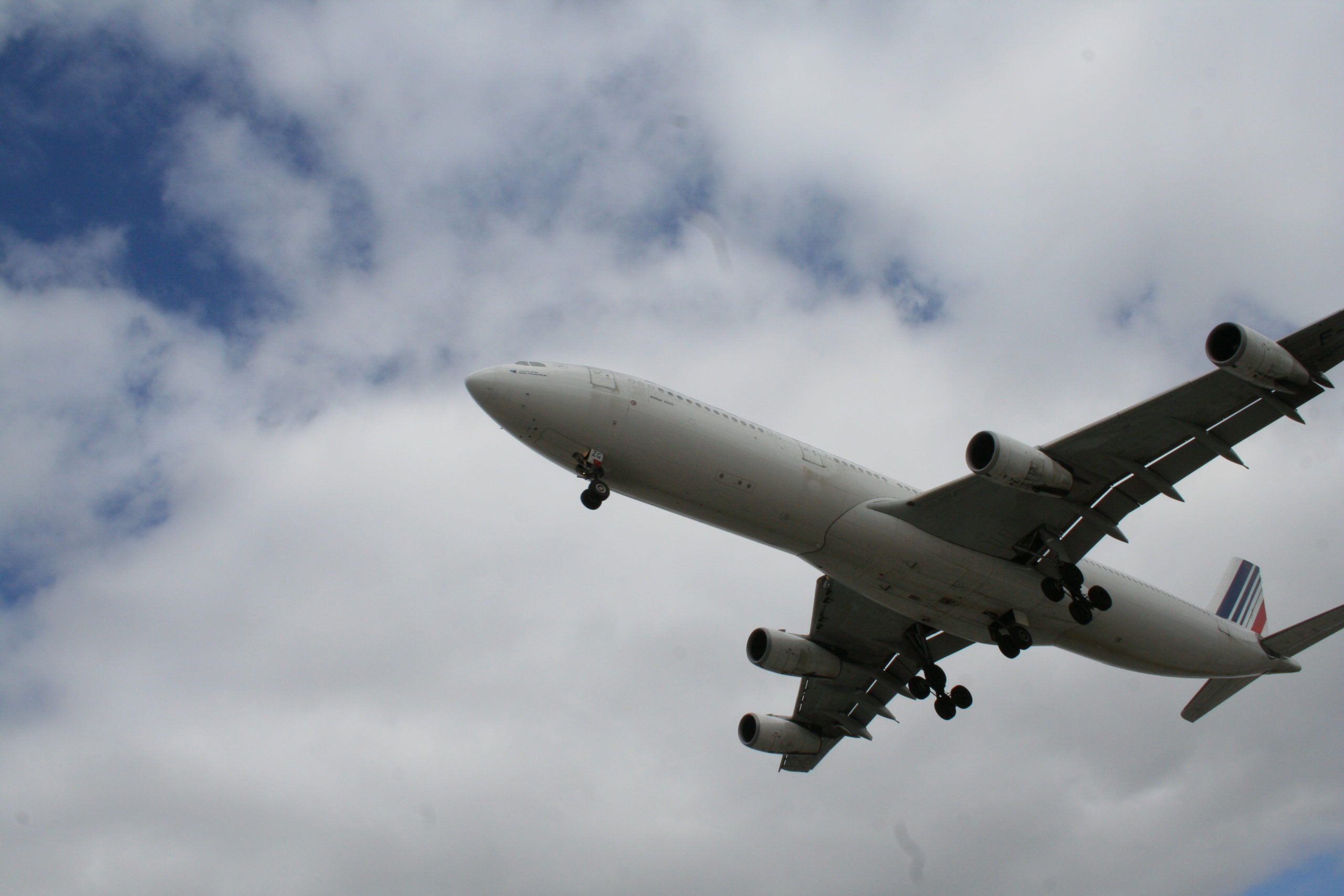 With a catchy new name and hundreds of staff, Czech startup Kiwi.com aims to become your online travel agent of choice