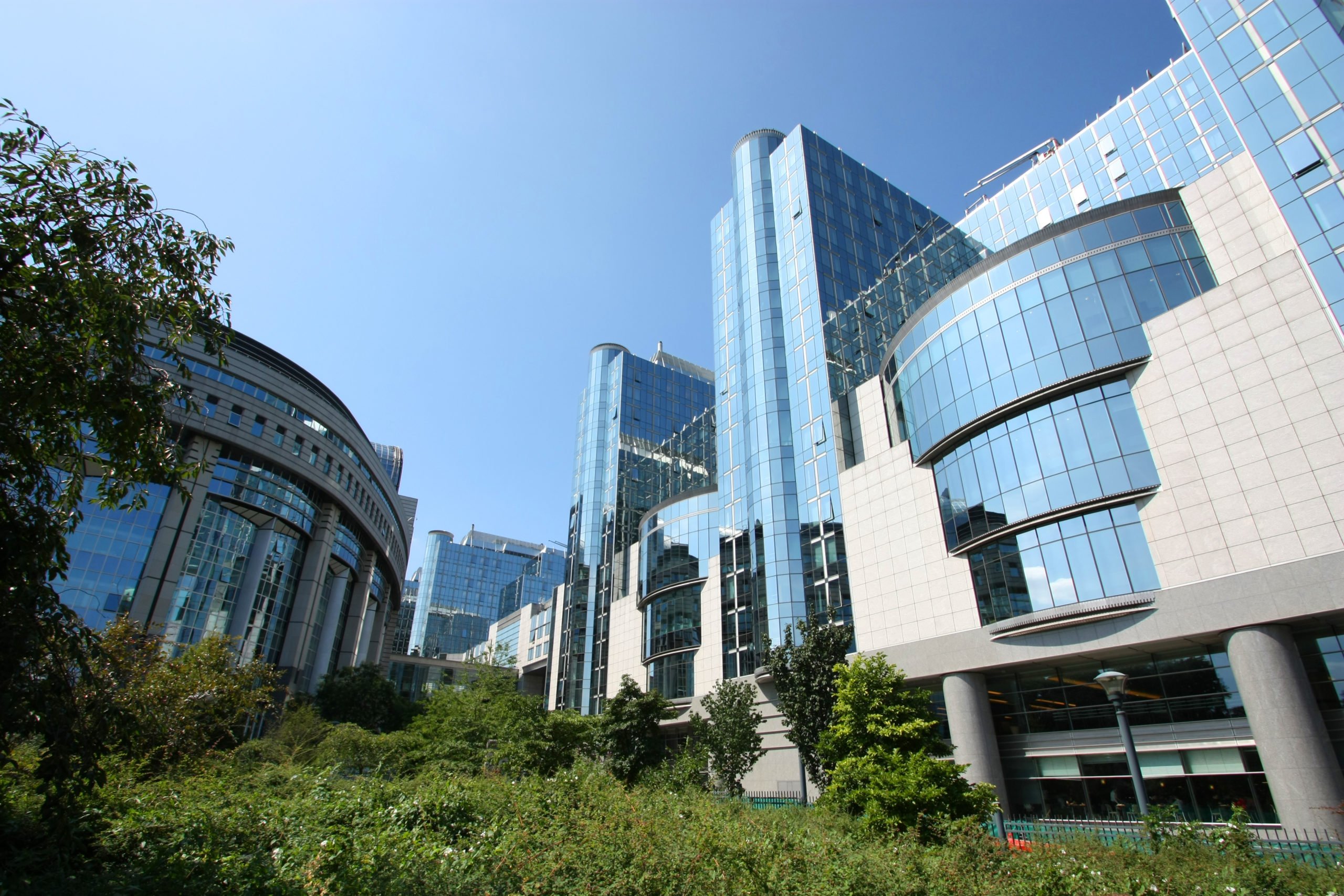 The European Parliament is discussing an expiry date for startups