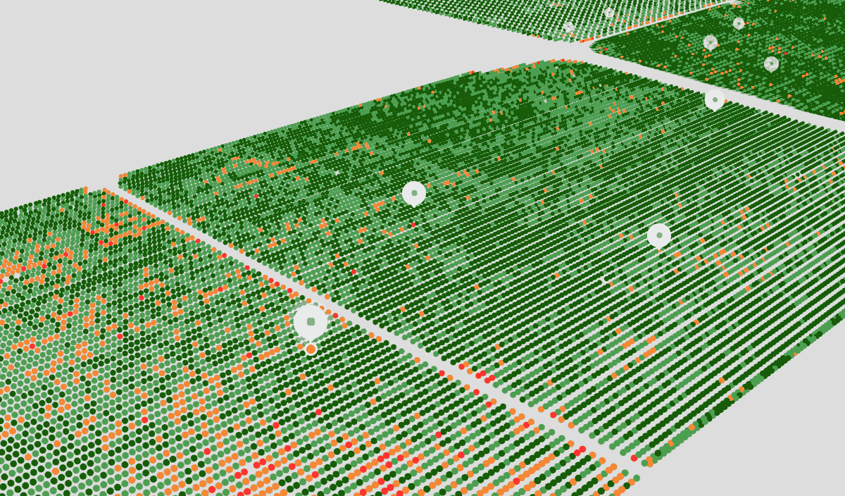 Israeli agritech startup SeeTree raises $11.5 million and launches its crop monitoring service