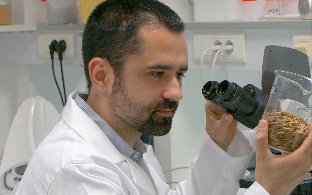 French agritech startup Ÿnsect raises $125 million