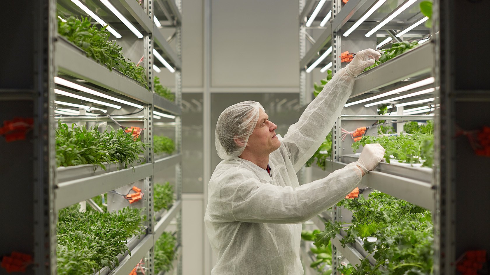Russia-based iFarm secures $1 million to take its urban farming solutions to the next level