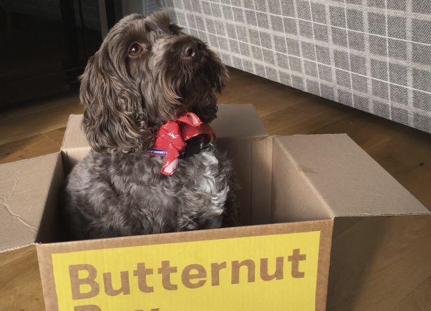 London-based dog food startup Butternut Box raises £15 million