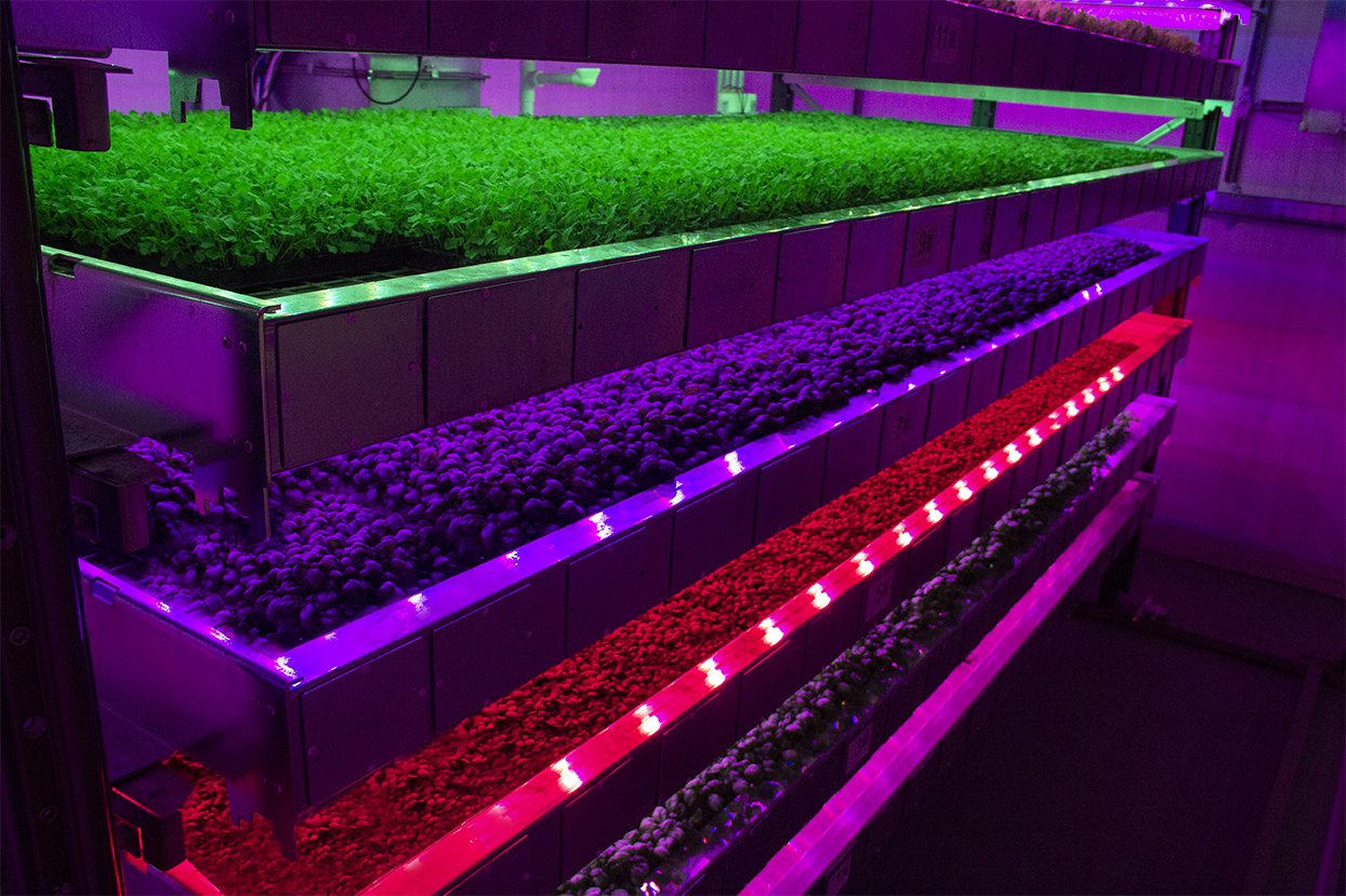 Scottish vertical farming startup Intelligent Growth Solutions picks up £5.4 million
