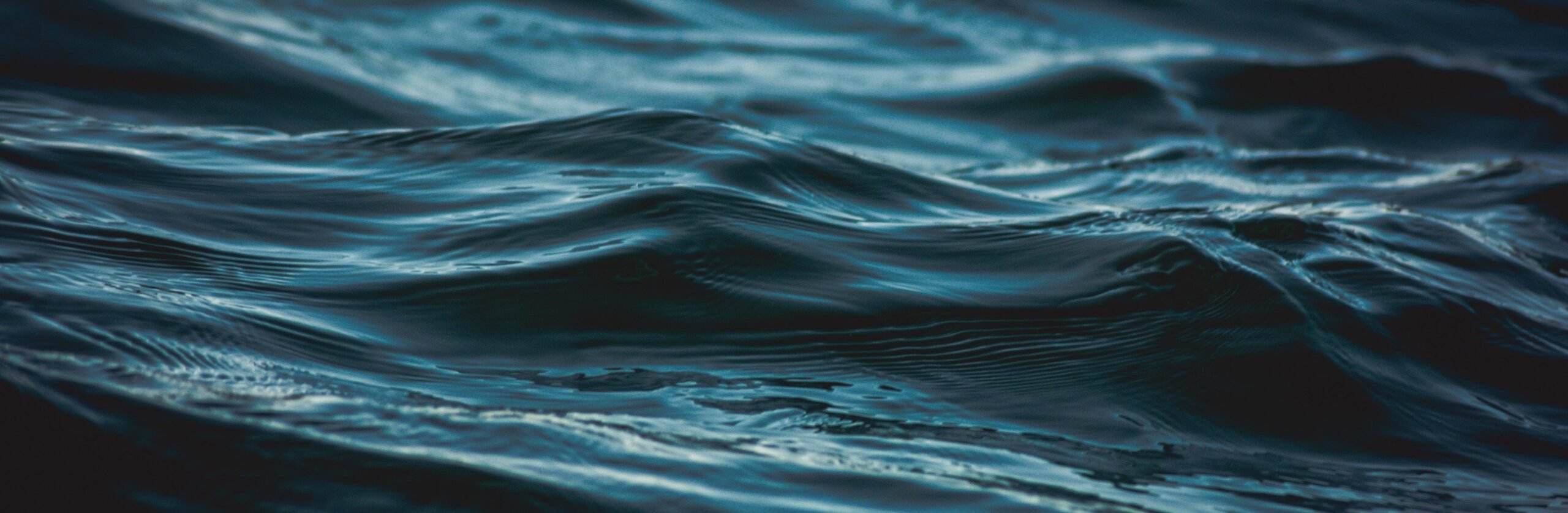 OpenOcean VC: Funding the future of European data companies