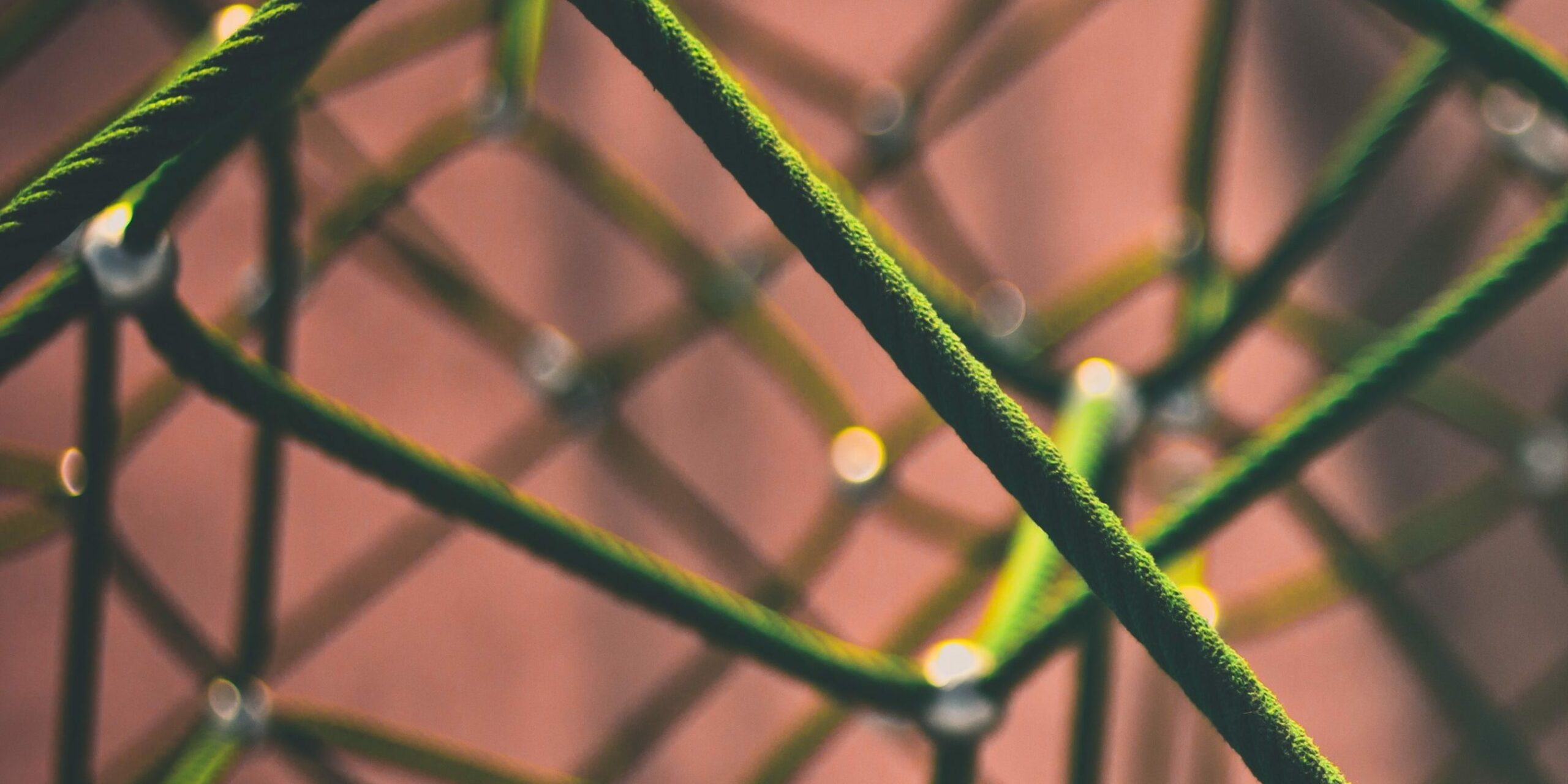 The Reverse Pitch: Speedinvest x