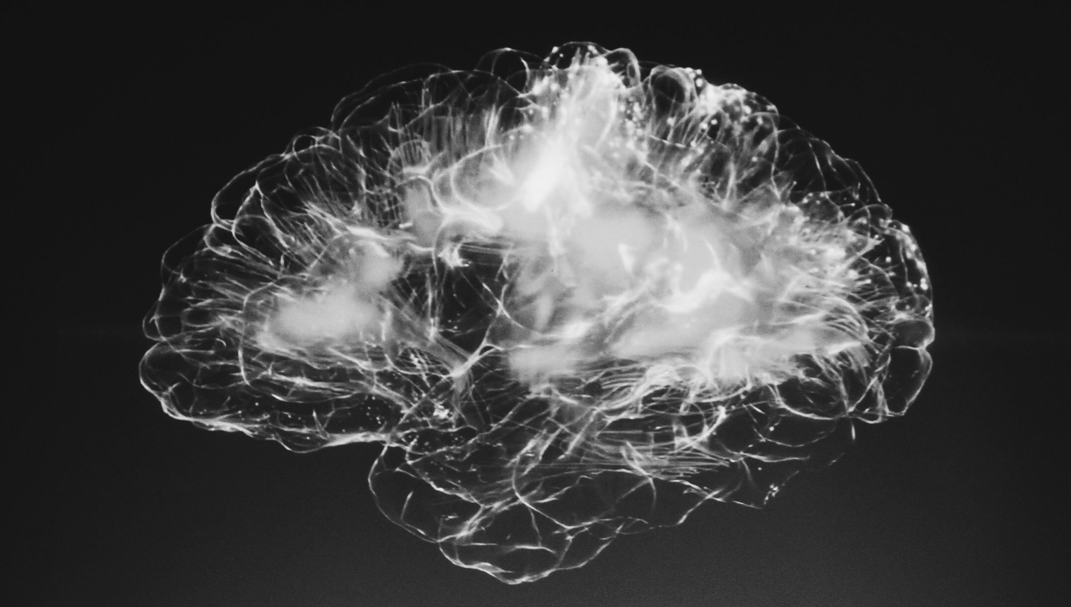 France’s AnotherBrain raises €19 million Series A for their “OrganicAI”.