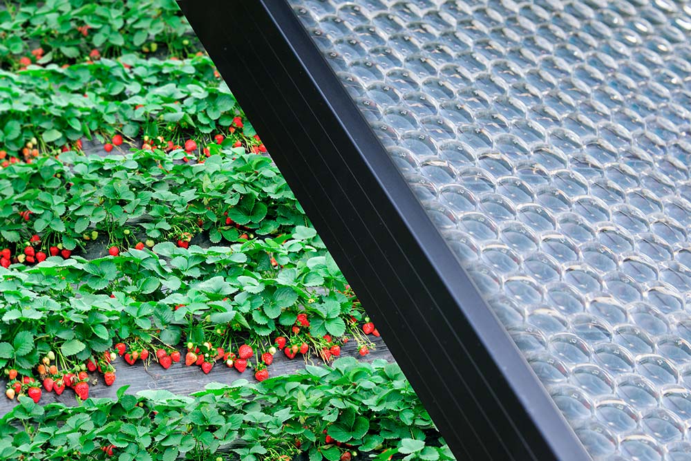 Swiss energy startup Insolight raises over €4.5 million to bring solar panels to market