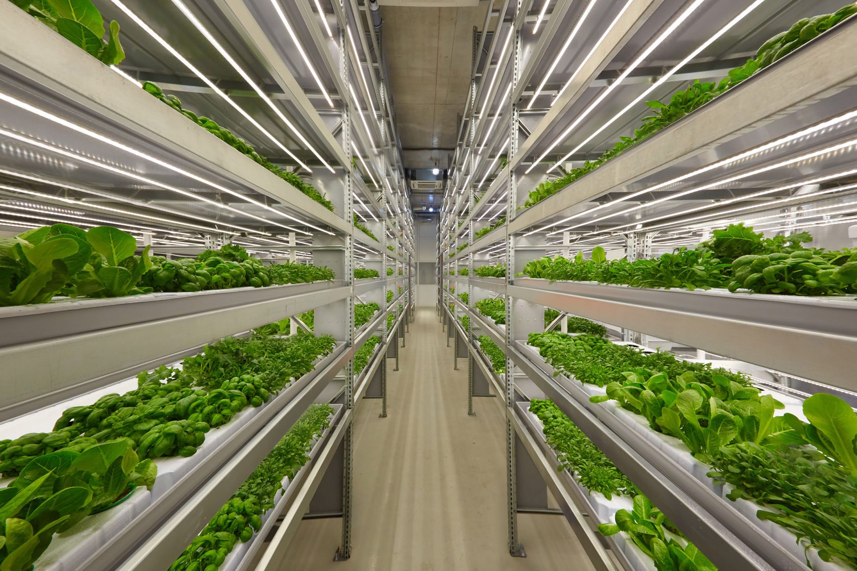Helsinki-based agtech startup iFarm raises $4 million to expand vertical farming platform