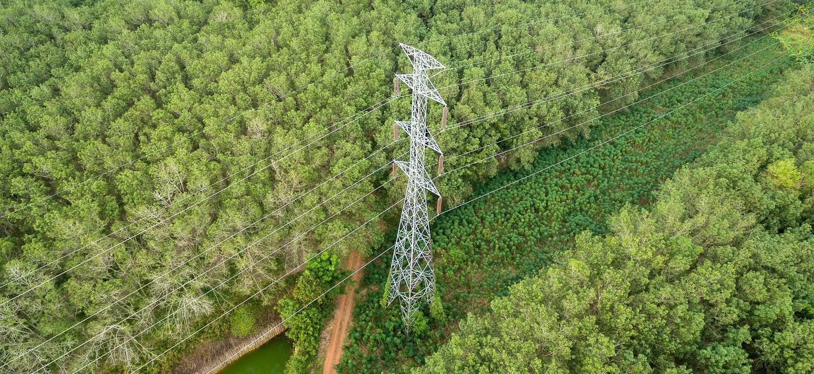 Overstory: Helping the planet can be a scalable business