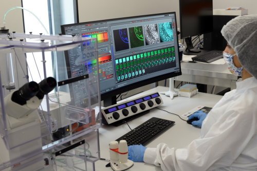 Through photonics training, PhotonHub Europe sets out to generate €1 billion in new EU revenue by 2025