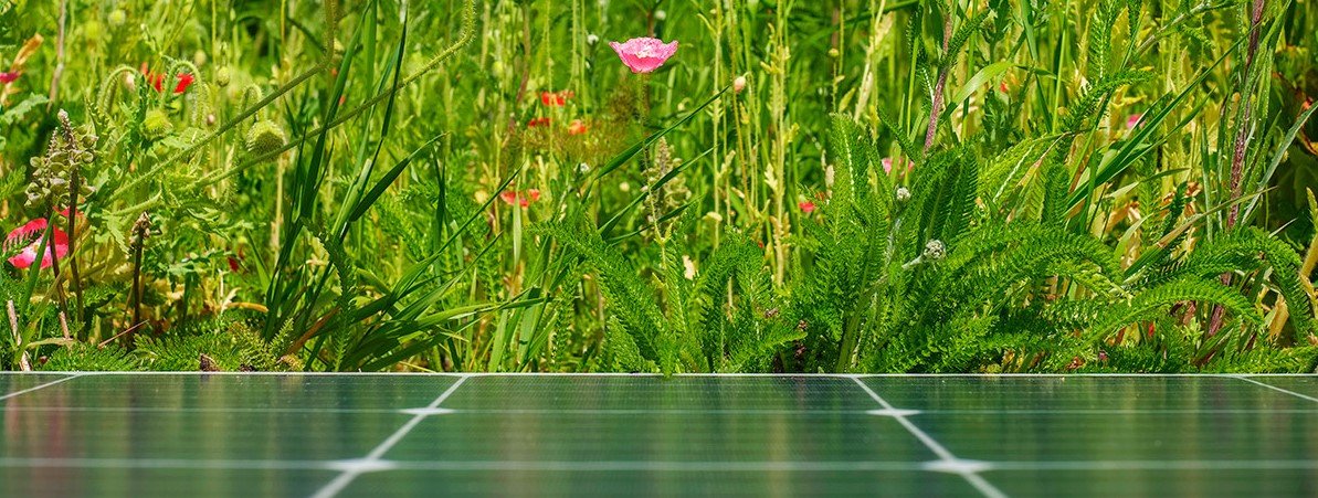 Solarge: The sunny future of flexible solar panels