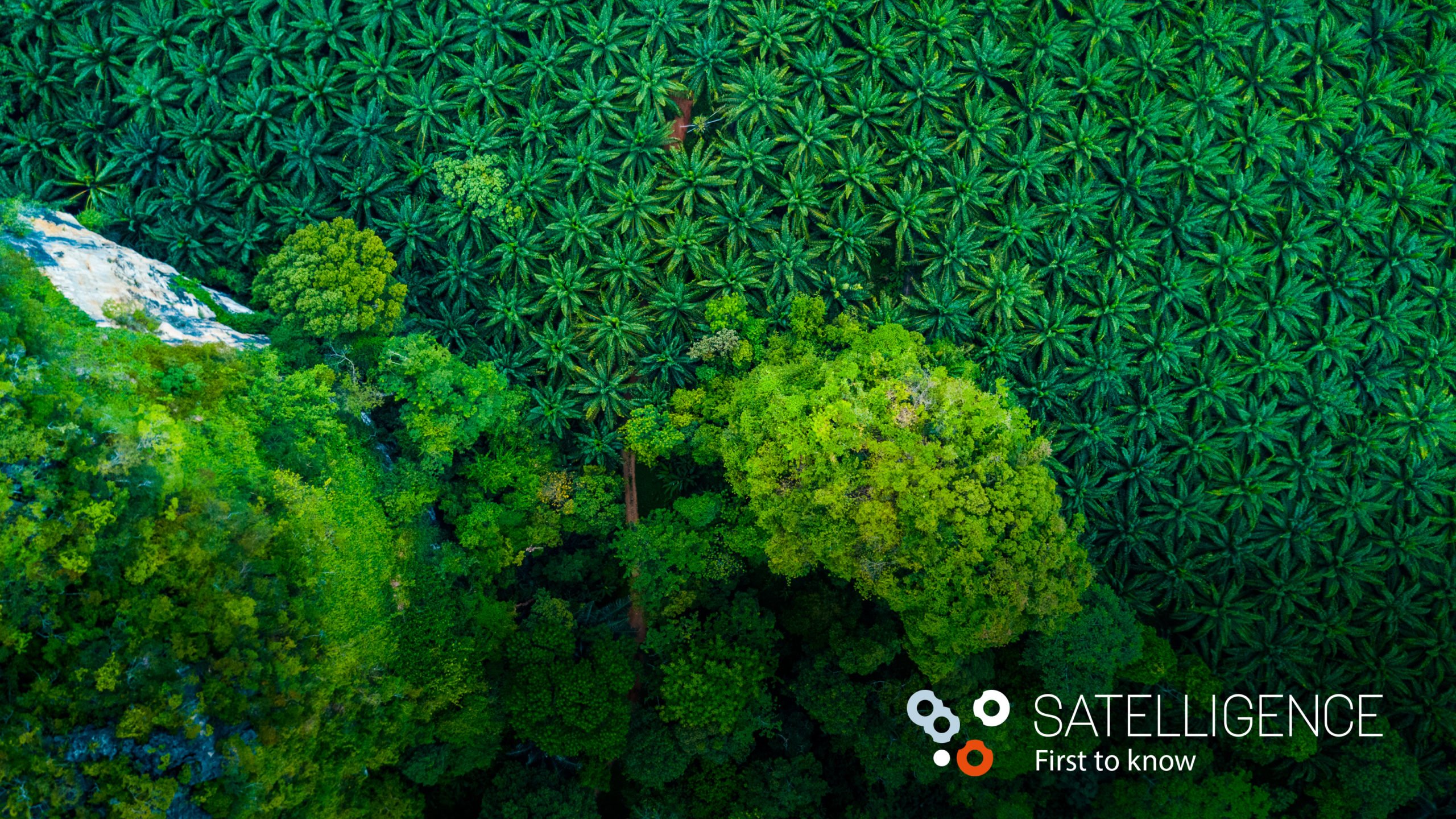 Dutch agritech startup Satelligence gets $2.3 million to reform supply chains and protect biodiversity