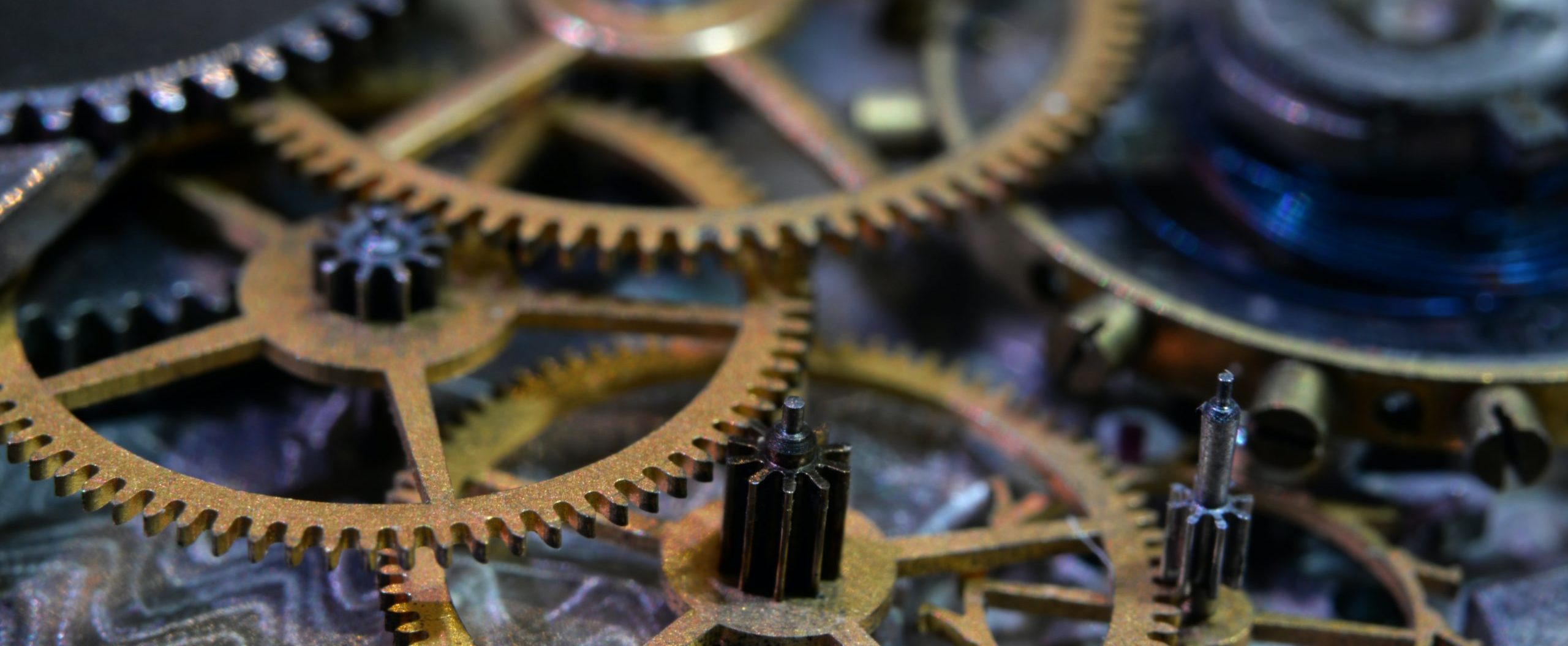 Scale-up operating model series: Uncovering the secret sauce behind European growth companies