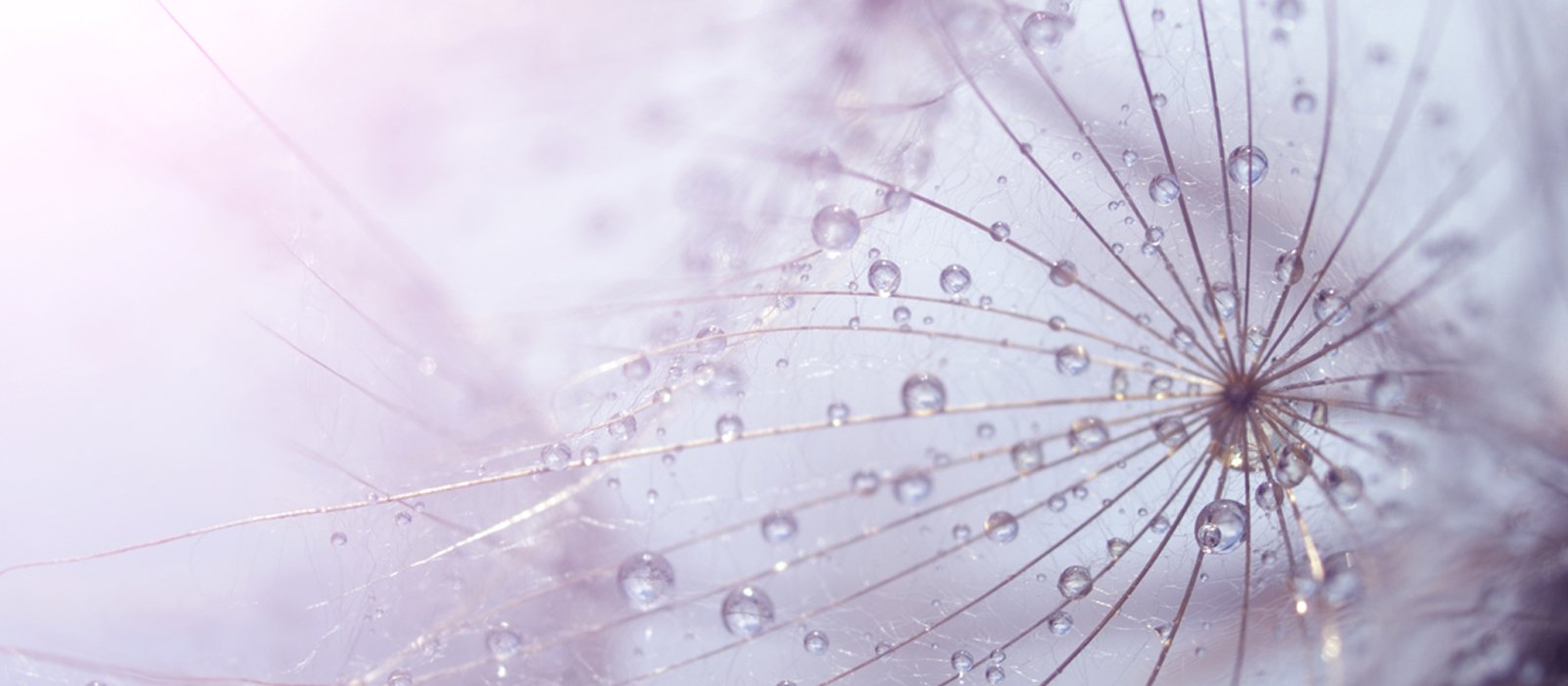 Sofinnova Partners closes crossover fund at €445 Million