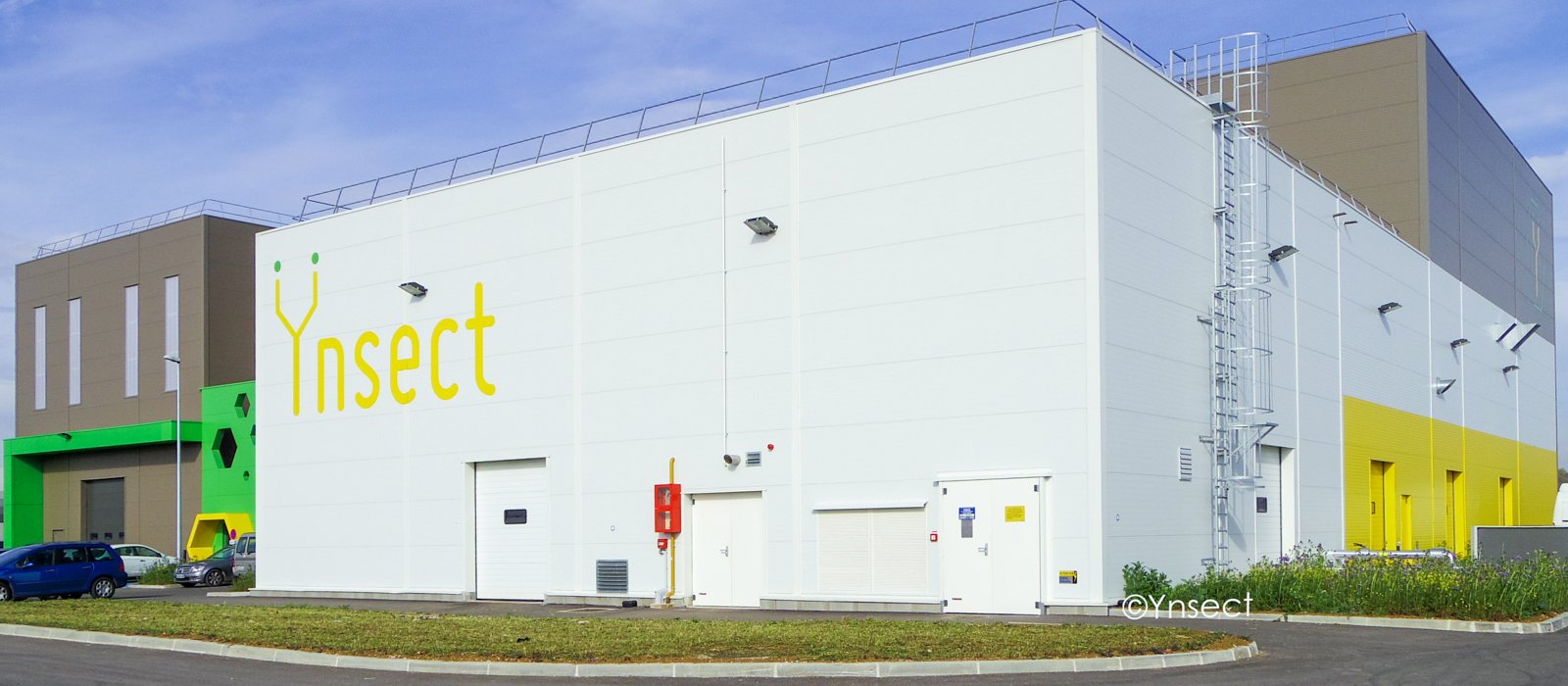 Paris-based Ynsect bugs out, acquires Dutch agTech Protifarm