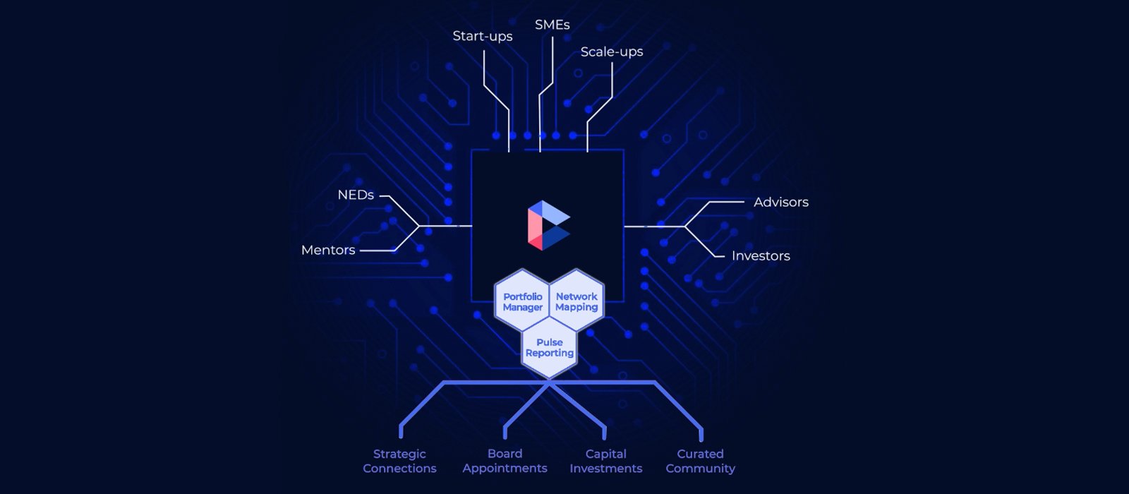 Growth funding platform Connectd raises $1 million in seed funding
