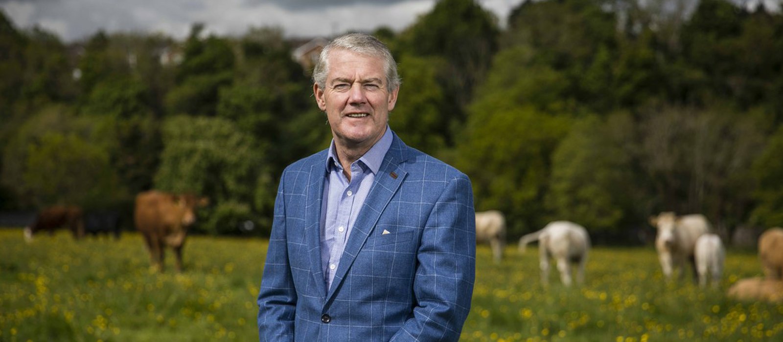 Dublin-based agrifood tech fund The Yield Lab Europe announces (almost) €50 million raise at second close