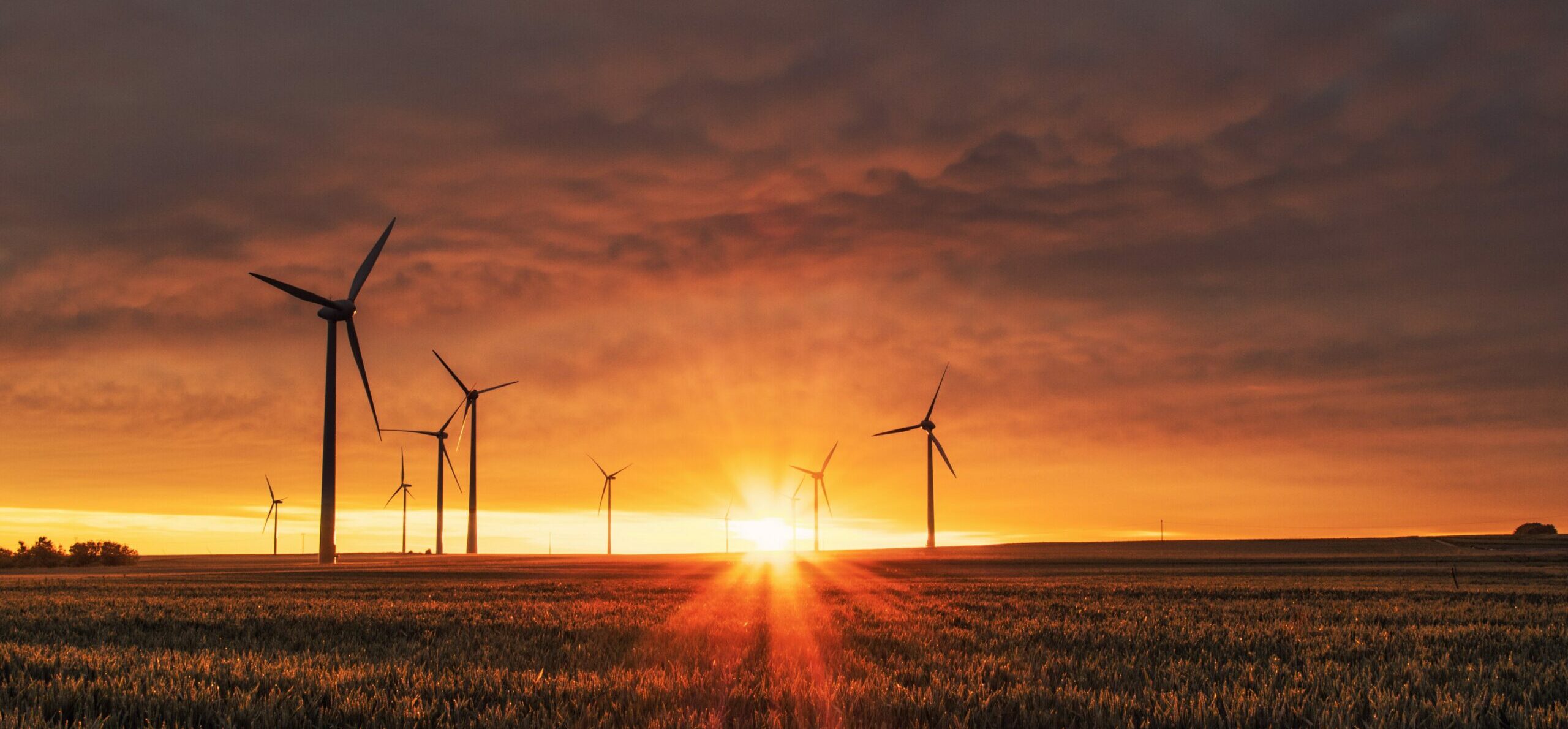 An opportunity for startups: Will the EU’s new climate package turn the tide on emissions?