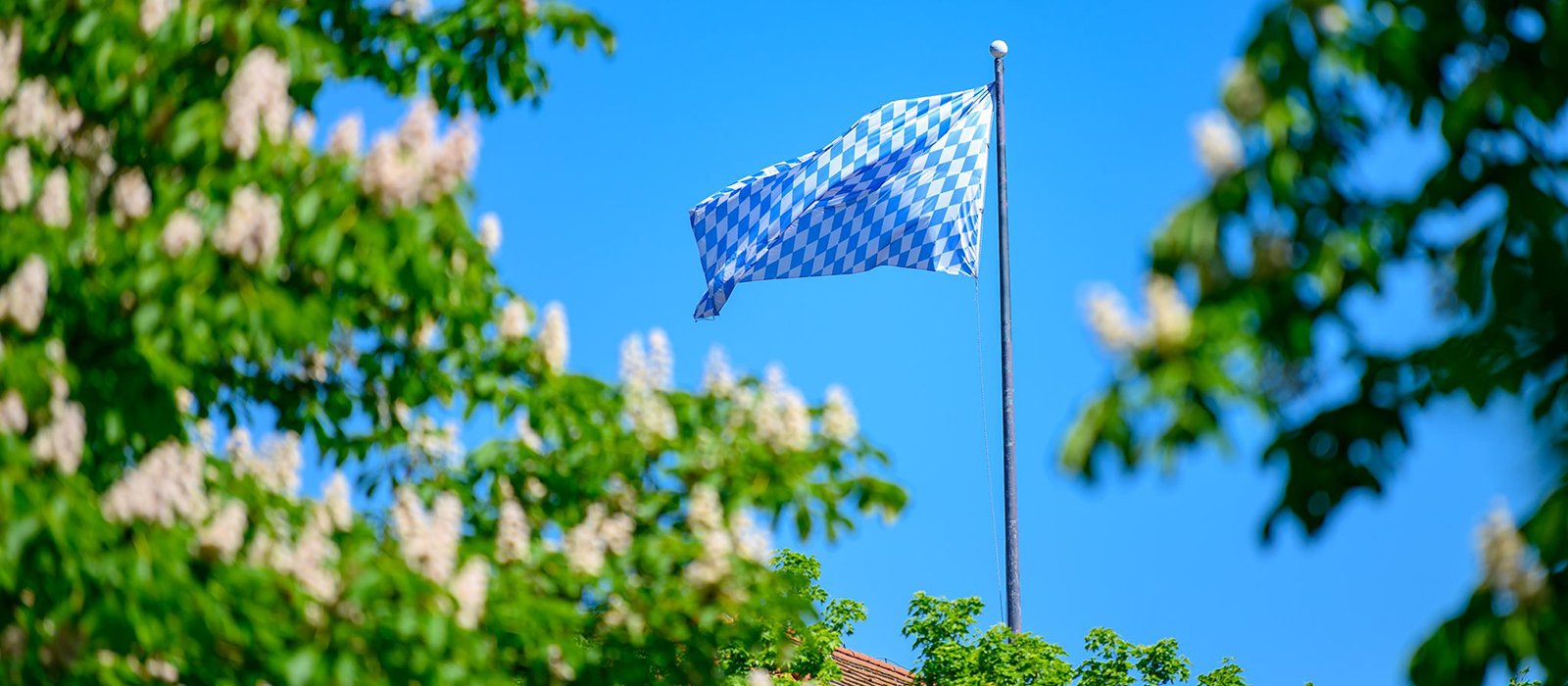 Bavarian Government flips the switch on €200 million ScaleUp fund