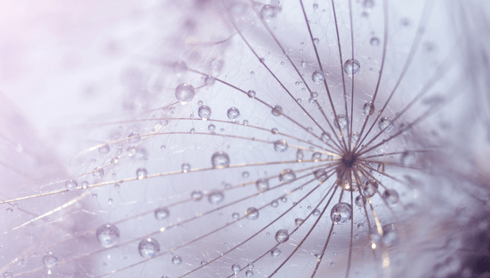 Sofinnova brings in €472 million for Capital X, over €1 billion across the entire platform