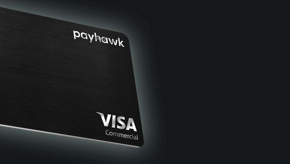Payhawk continues to spread its wings, raises $115 million in new capital