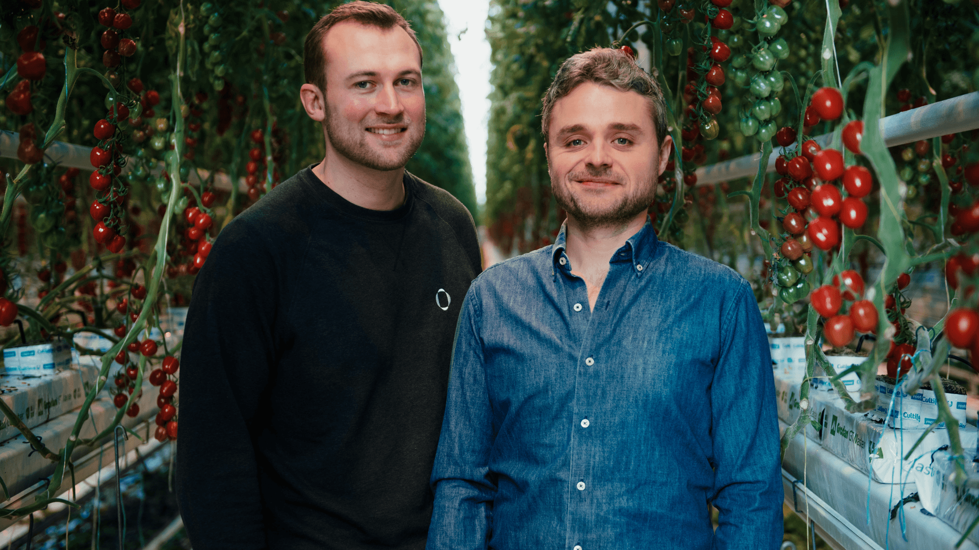 Dutch startup, bringing healthy food to more people, reaps in $10 million to drive AI powered indoor farms