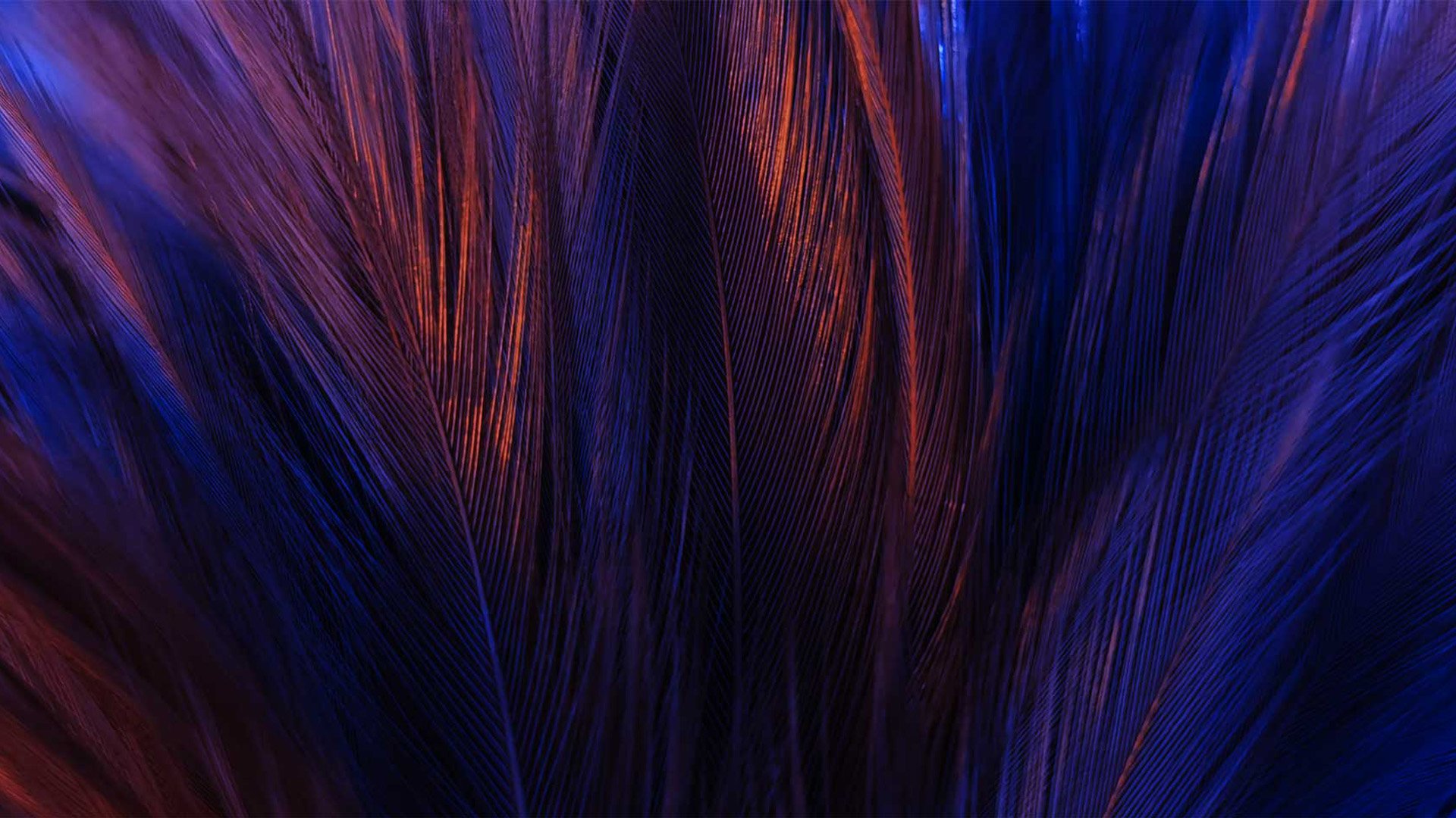 Can employees achieve ‘deep work’? London-based FLOWN scores £2.5 million to show how