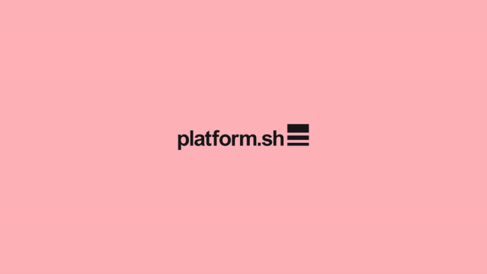 Platform.sh raises 0 million in a spherical co-led by Morgan Stanley