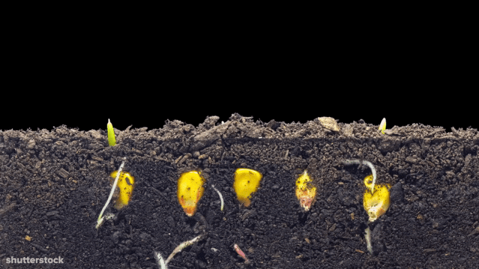 Report: SDG-relevant startups offer solid, long-term investment opportunities