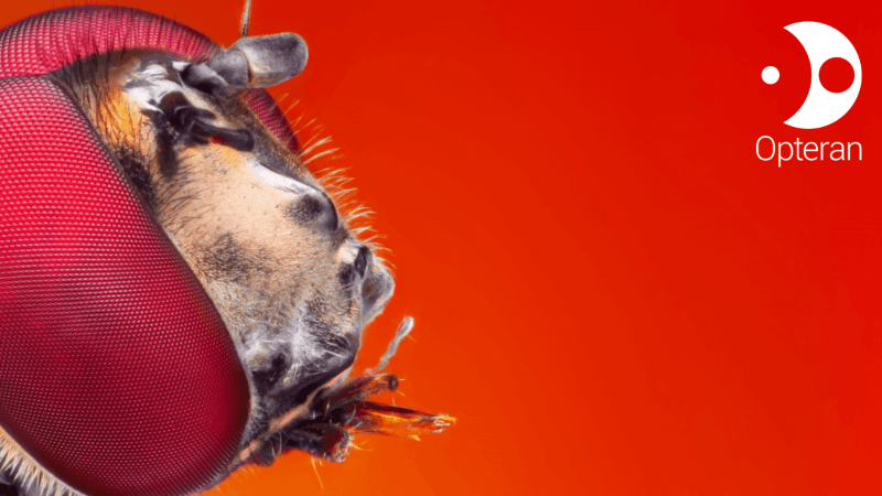 Opteran weaves in $12 million to develop AI driven by brain biomimicry ...