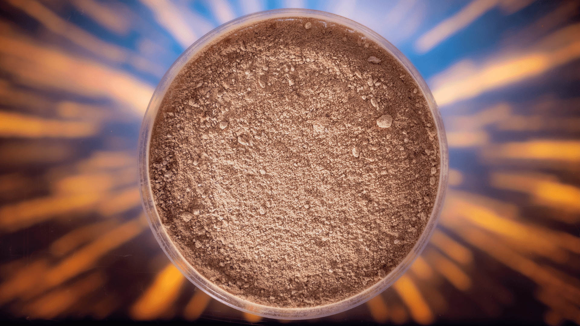 Deep Branch rears in £4.8 million from UK government to grow protein from microbes that feed on CO2