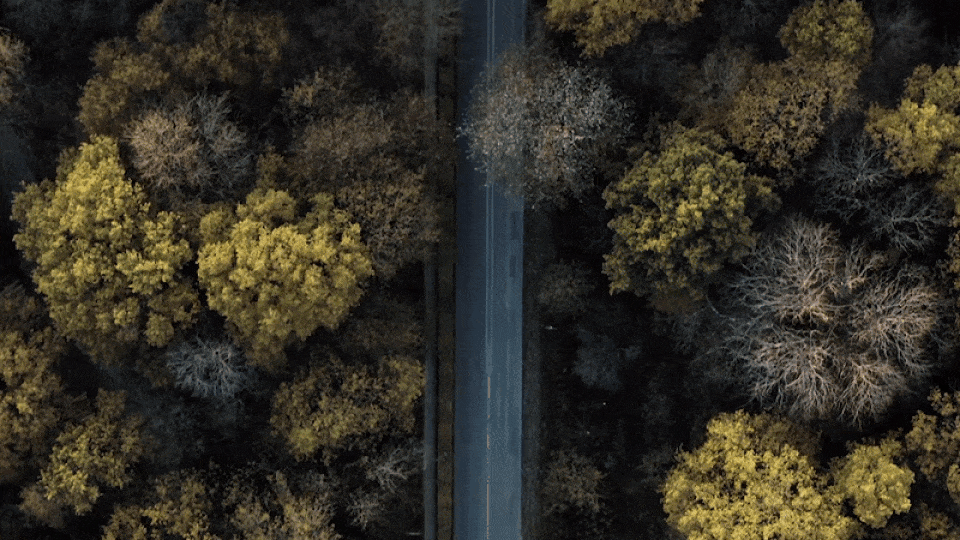 3 European companies with great ESG policies