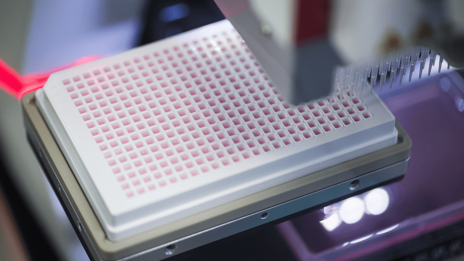 EIB backs Polish biotech Ryvu with €22 million to speed up discovery of new cancer treatments