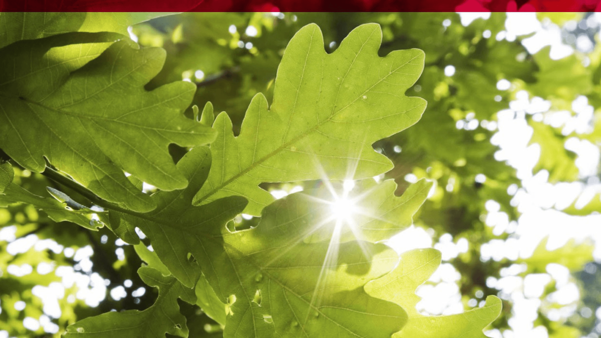 Deutsche Private Equity closes €708 million continuation fund