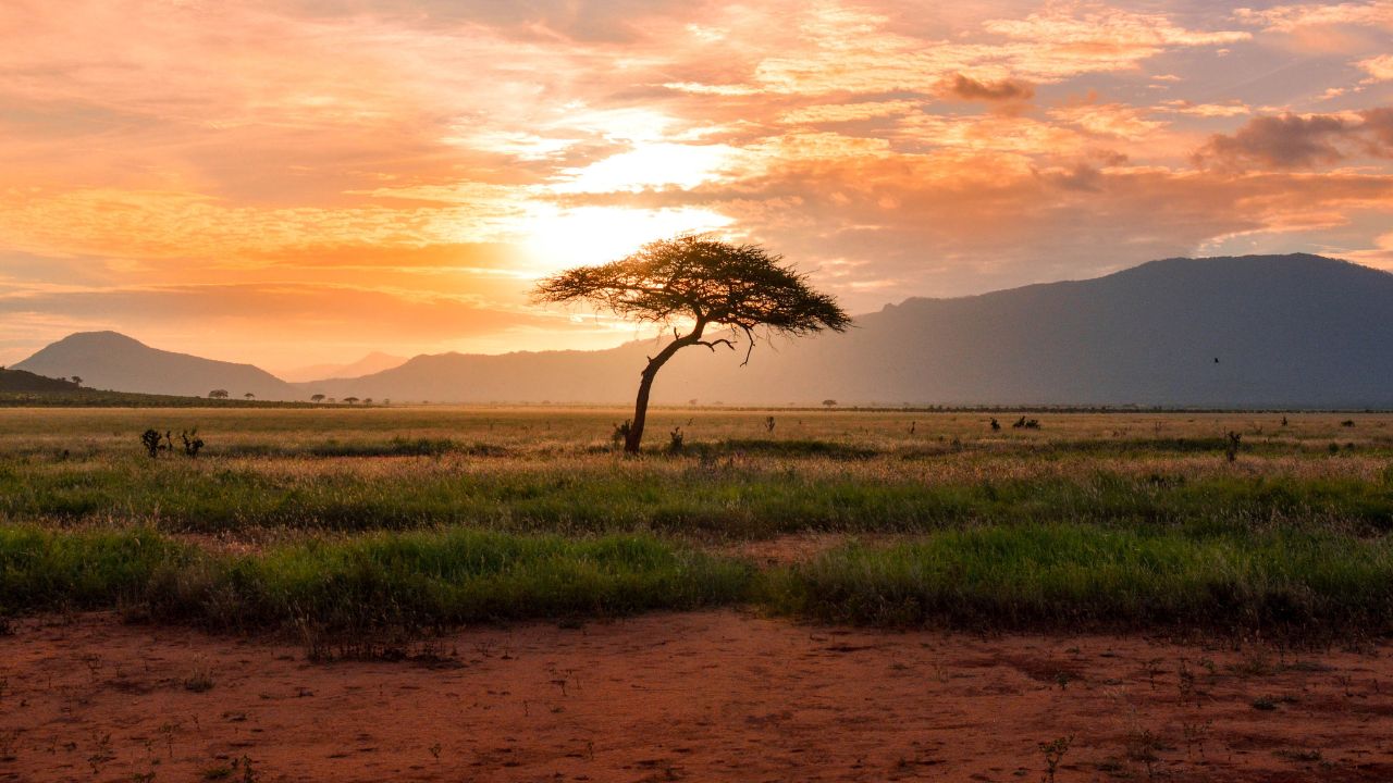 Kara Ventures sidefund gets underway with African investment remit and six startups in its portfolio