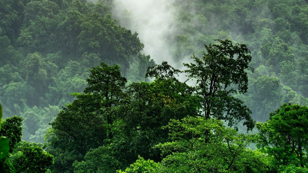 Rize puts away €3 million pre-seed to finance regenerative farmers with carbon credits