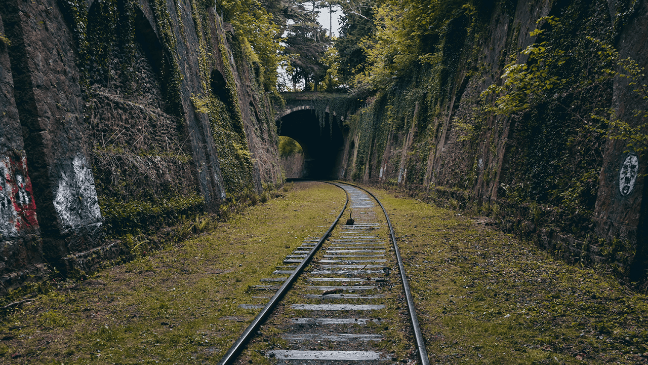 What are durable skills and do tech workers need them?