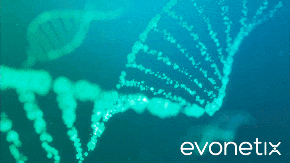 Bringing semiconductor tech to DNA synthesis, Evonetix secures £20 million