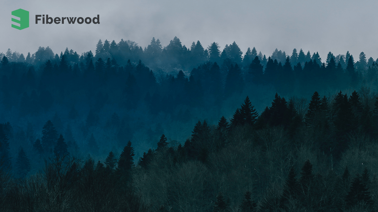 Cutting wood to keep warm, Finland's Fiberwood picks up €3 million