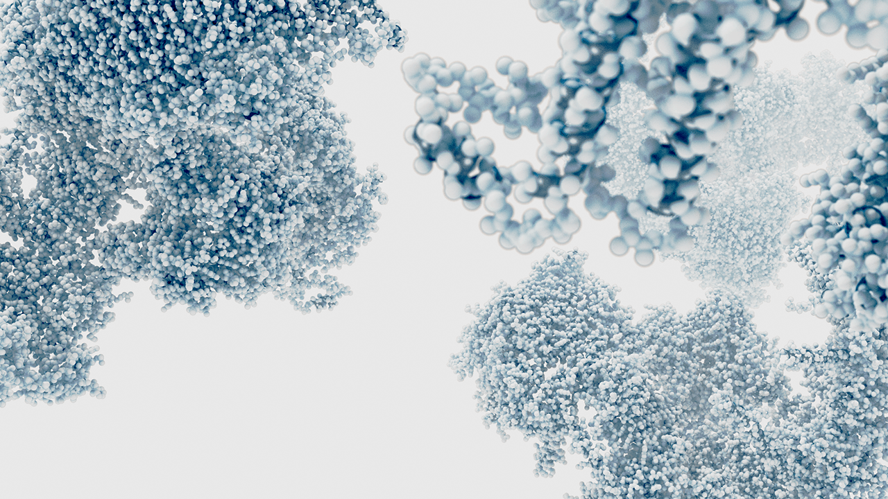 Zymvol raises €1.3 million to spread enzymes everywhere