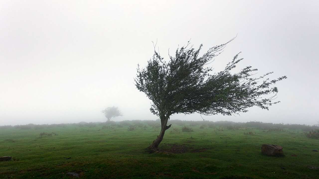 Why now is the era of business resilience