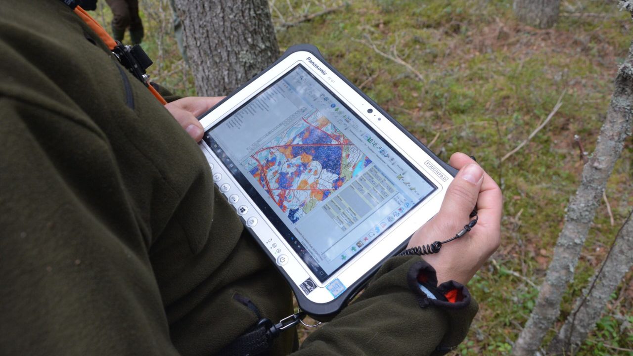 Finnish forestry platform CollectiveCrunch raises €1.4 million, setting its roots in the forest carbon market