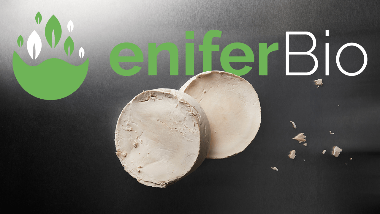 Finland’s eniferBio blooms €11 million to ramp up fungal protein production