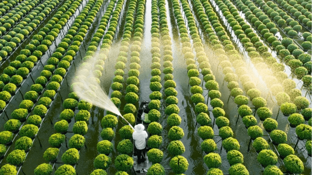 Over £80 billion went to Agritech in Europe in the last 20 years – will there be enough high-quality food for all?