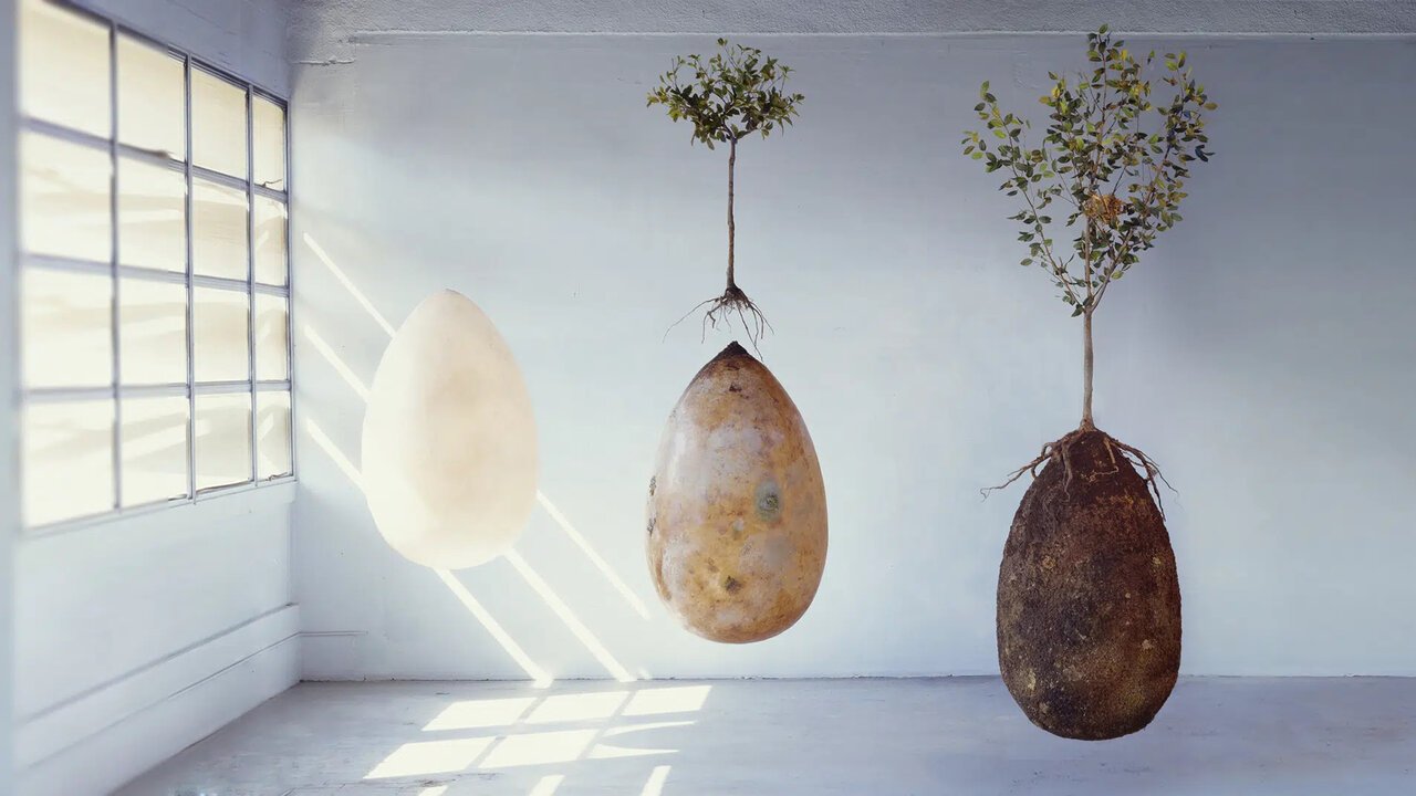 Beyond the grave: How deathtech startups are transforming what happens when we die